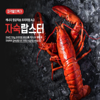 이용사례 이미지17
